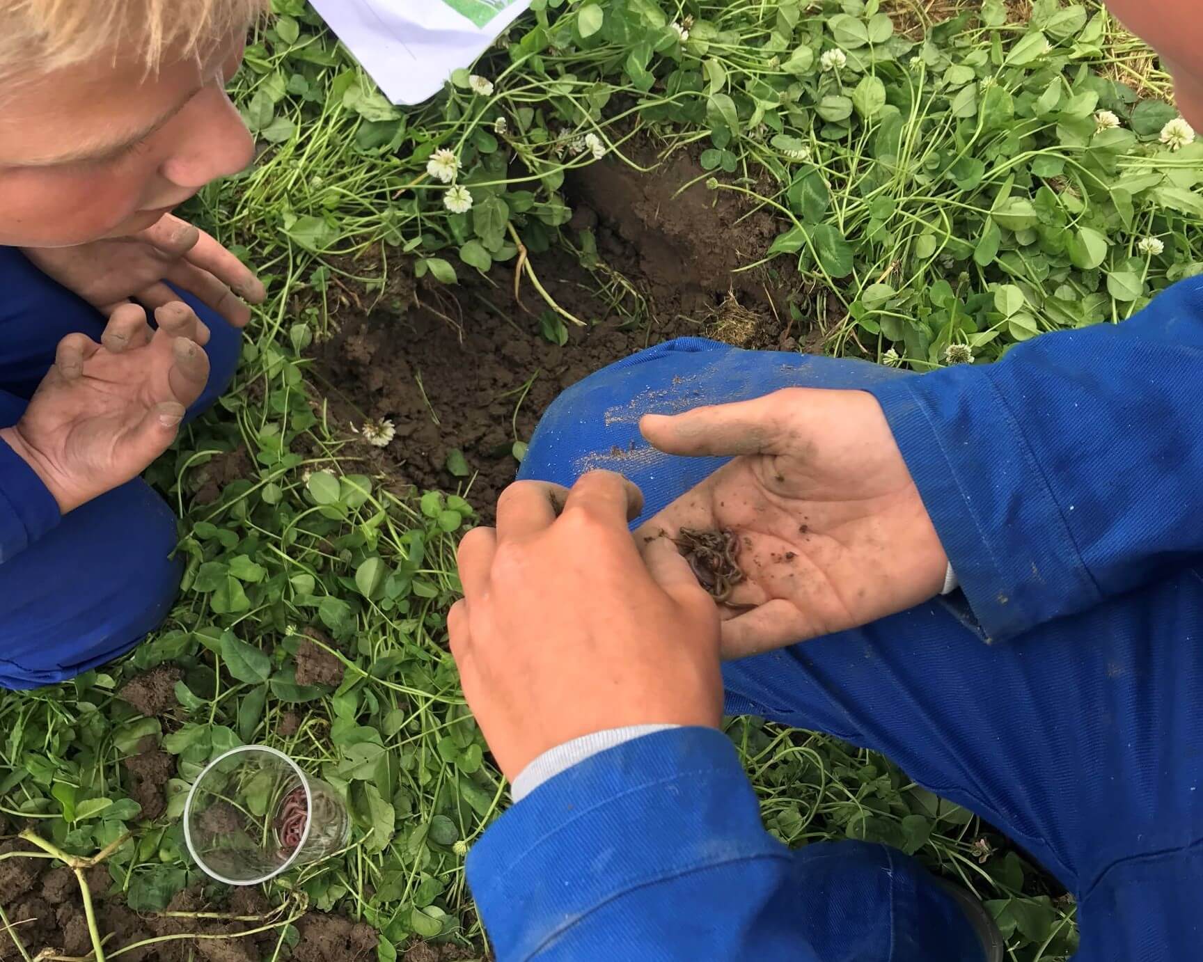 Proeftuin Klaaswaal ‘Kringlooplandbouw en Circulaire Bodemverbeteraars’